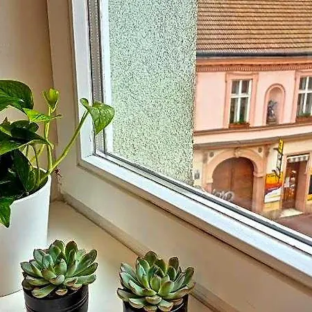 Apartma Elisa 4* Brno