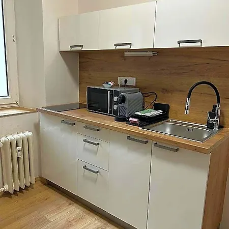 Hotel Apartma Elisa Brno